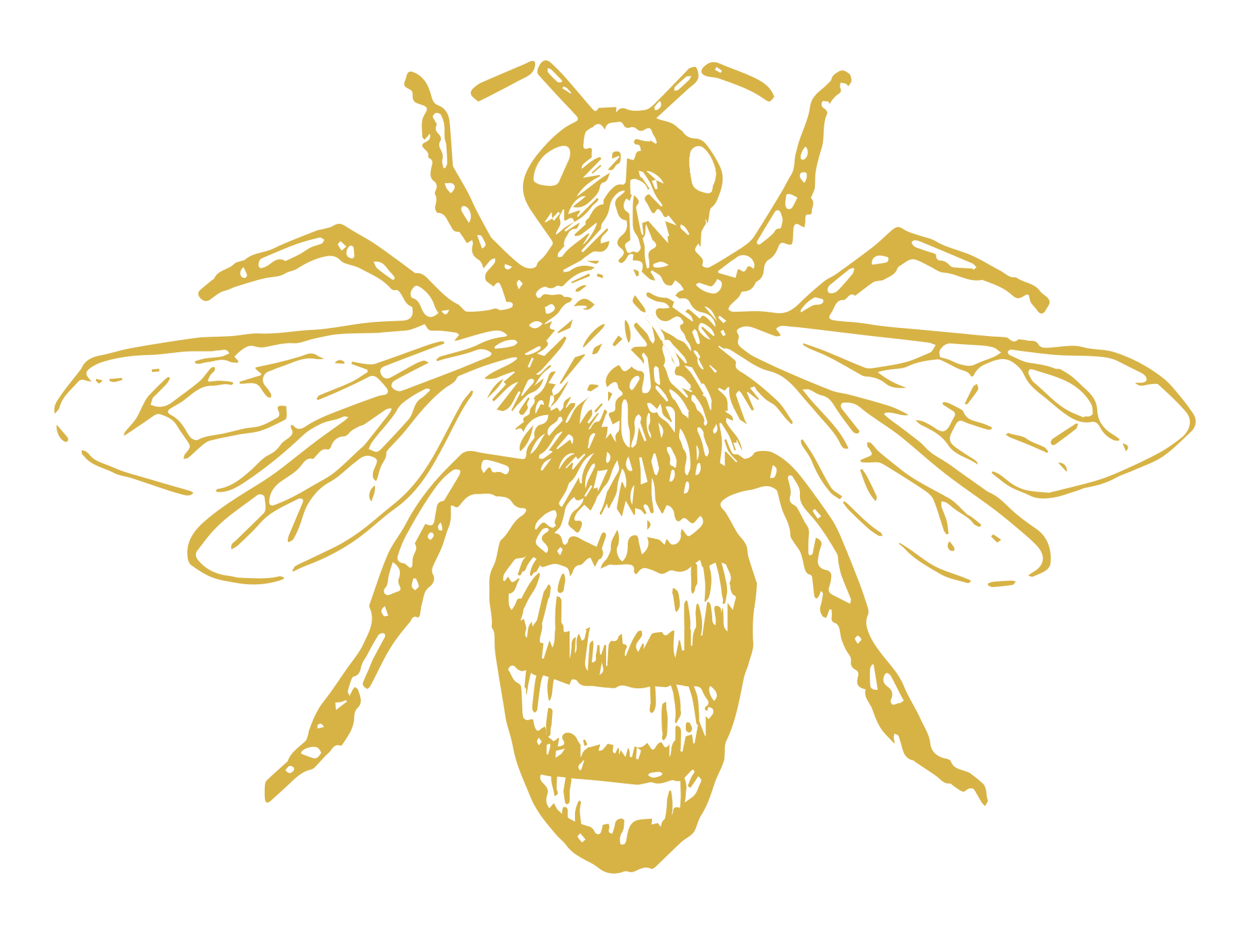 Bee Hunter Logo